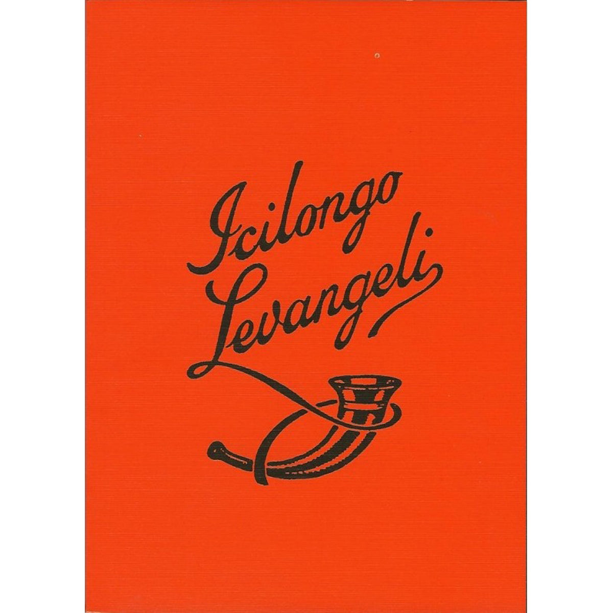 Icilongo Zulu (Paperback)