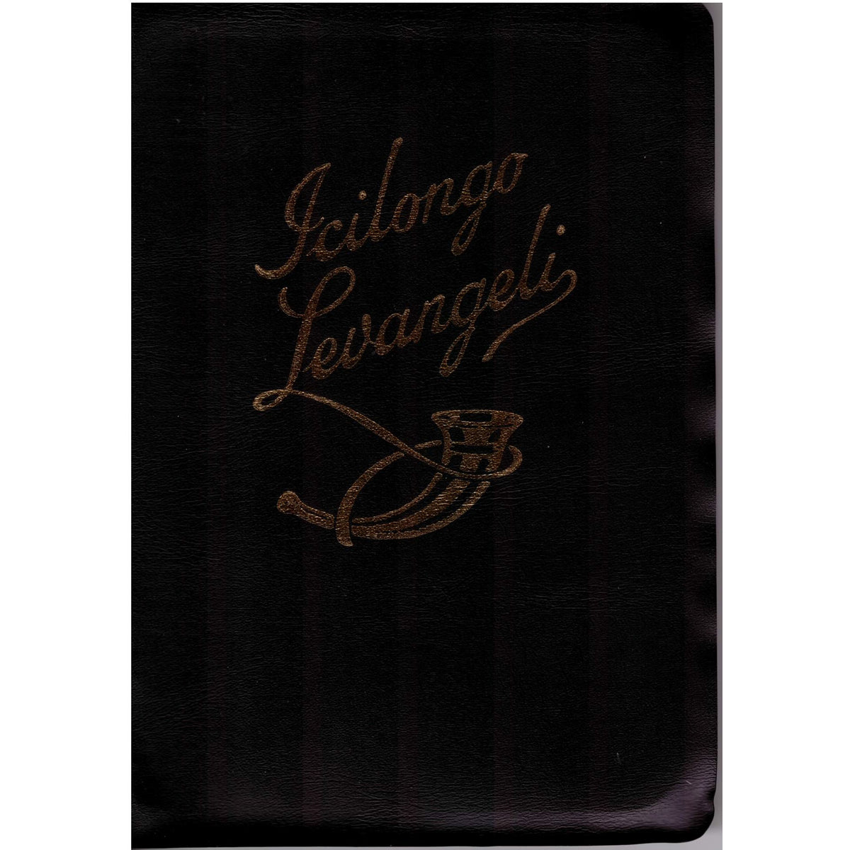 Icilongo Zulu (Hardcover)