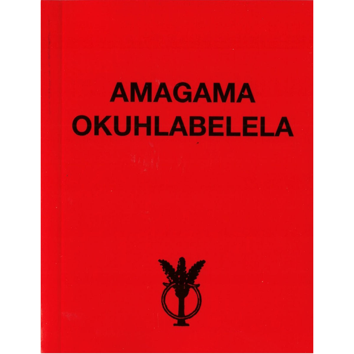 Amagama Okuhlabalela Zulu (Paperback)