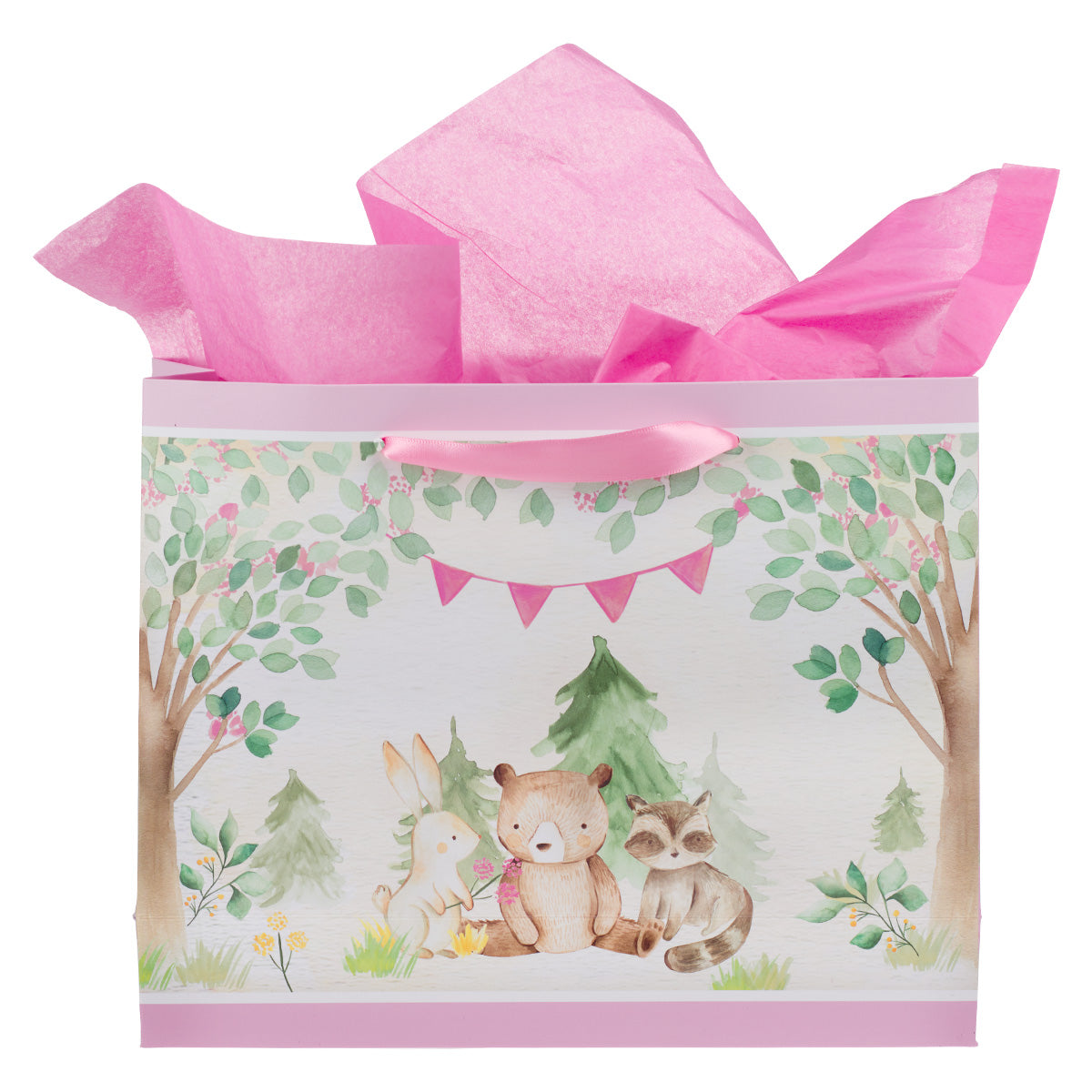 He Has Made Everything Beautiful Large Landscape Gift Bag With Card - Eccl 3:11