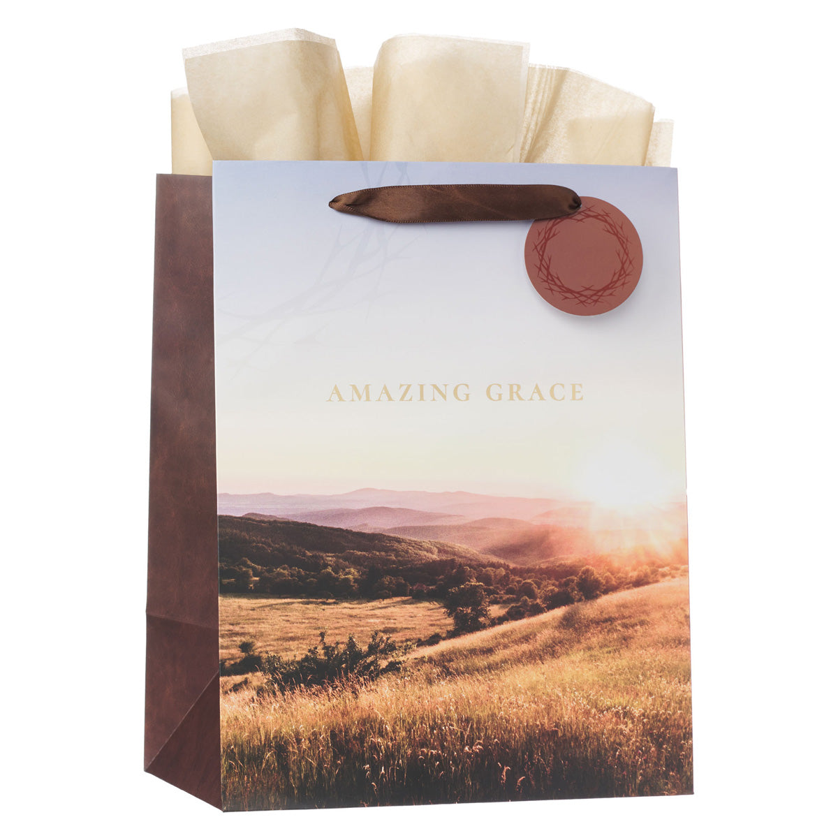 Amazing Grace Crown of Thorns Portrait Gift Bag with Gift Tag