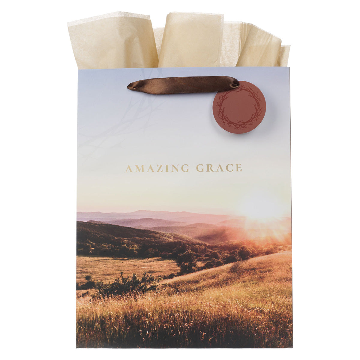 Amazing Grace Crown of Thorns Portrait Gift Bag with Gift Tag