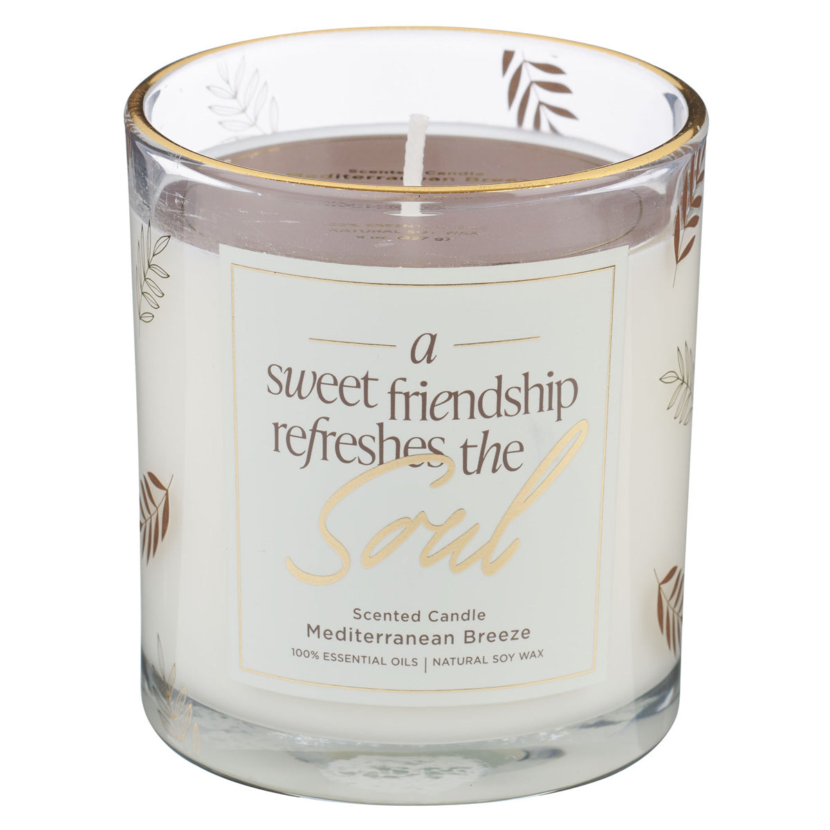 A Sweet Friendship Refreshes the Soul Iced Fennel Scented Candle with Dust Cover