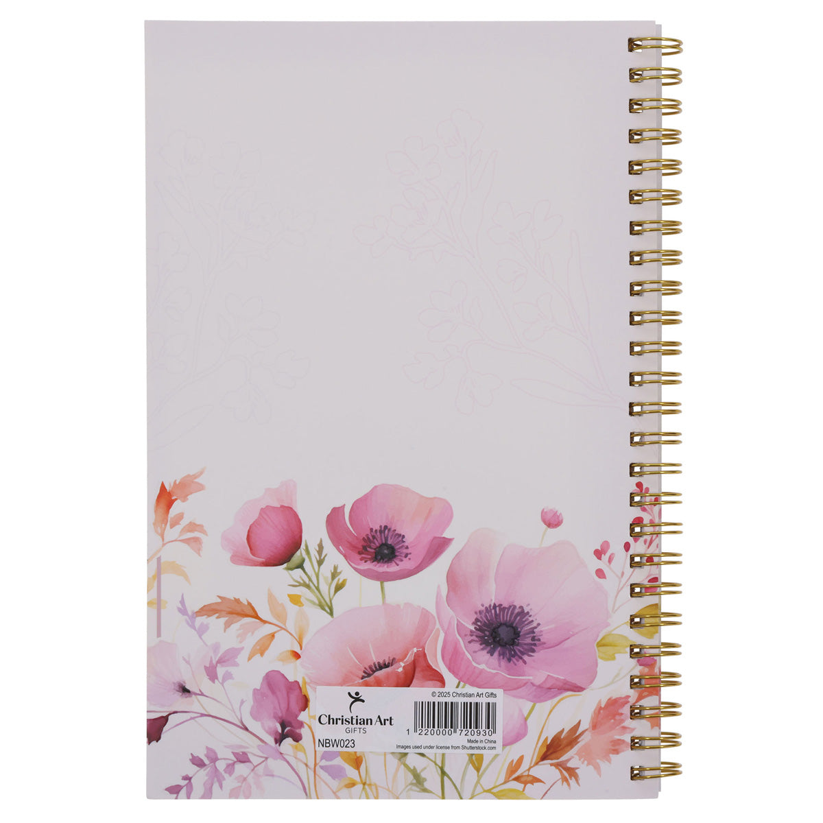 I Know the Plans I Have for You Wirebound Notebook