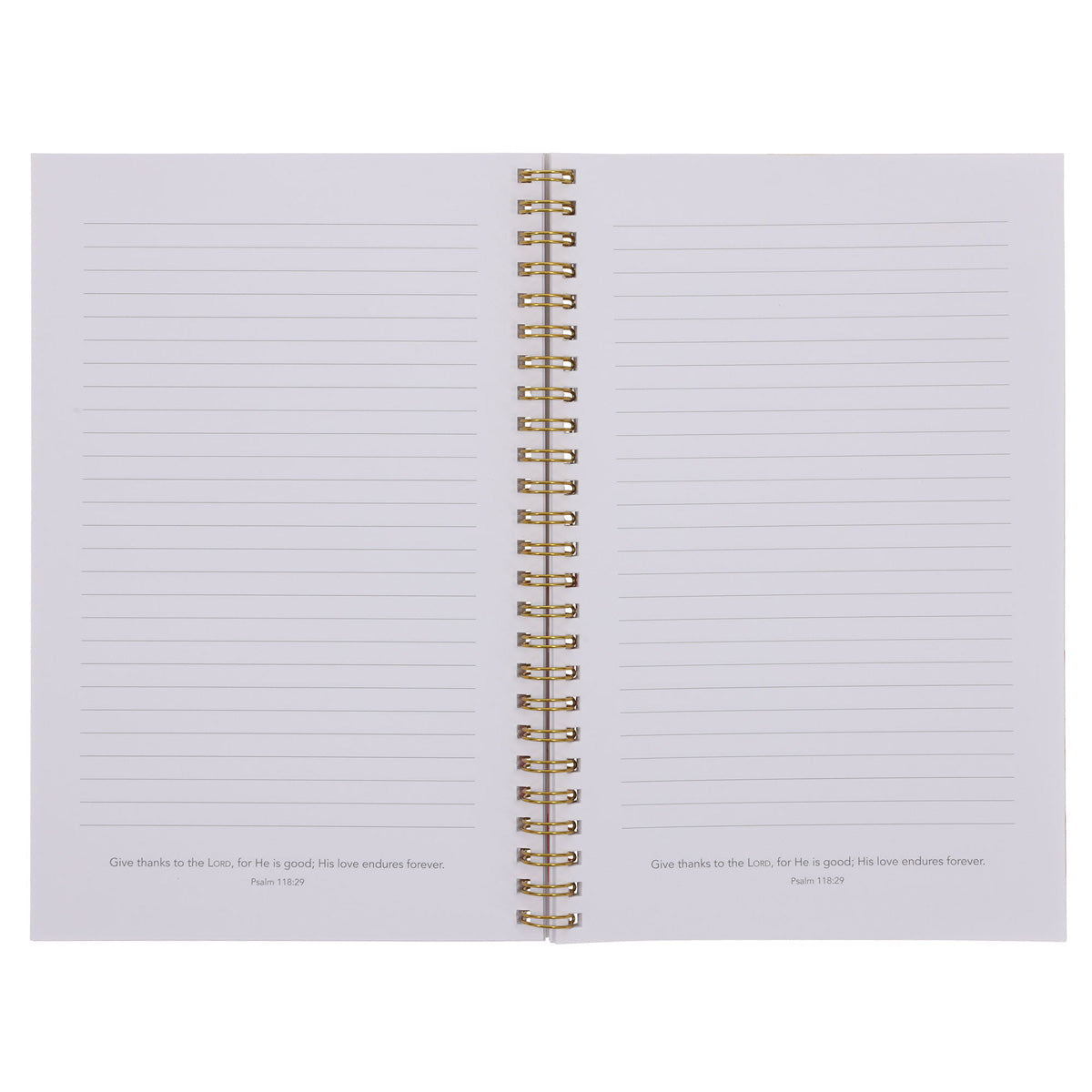 I Know the Plans I Have for You Wirebound Notebook