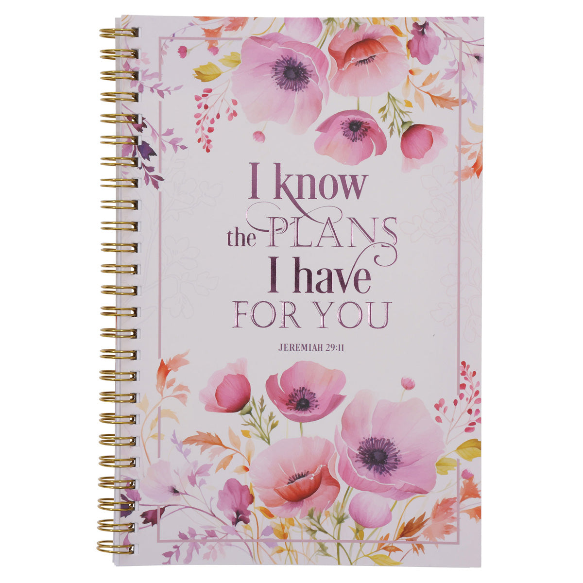 I Know the Plans I Have for You Wirebound Notebook