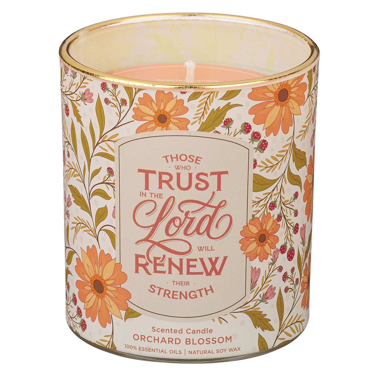 Those Who Trust in the Lord Honey Crisp Orange Sangria Scented Candle with Dust Cover