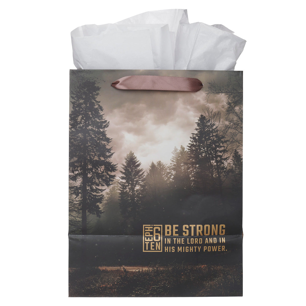 Be Strong in the Lord Portrait Gift Bag with Gift Tag