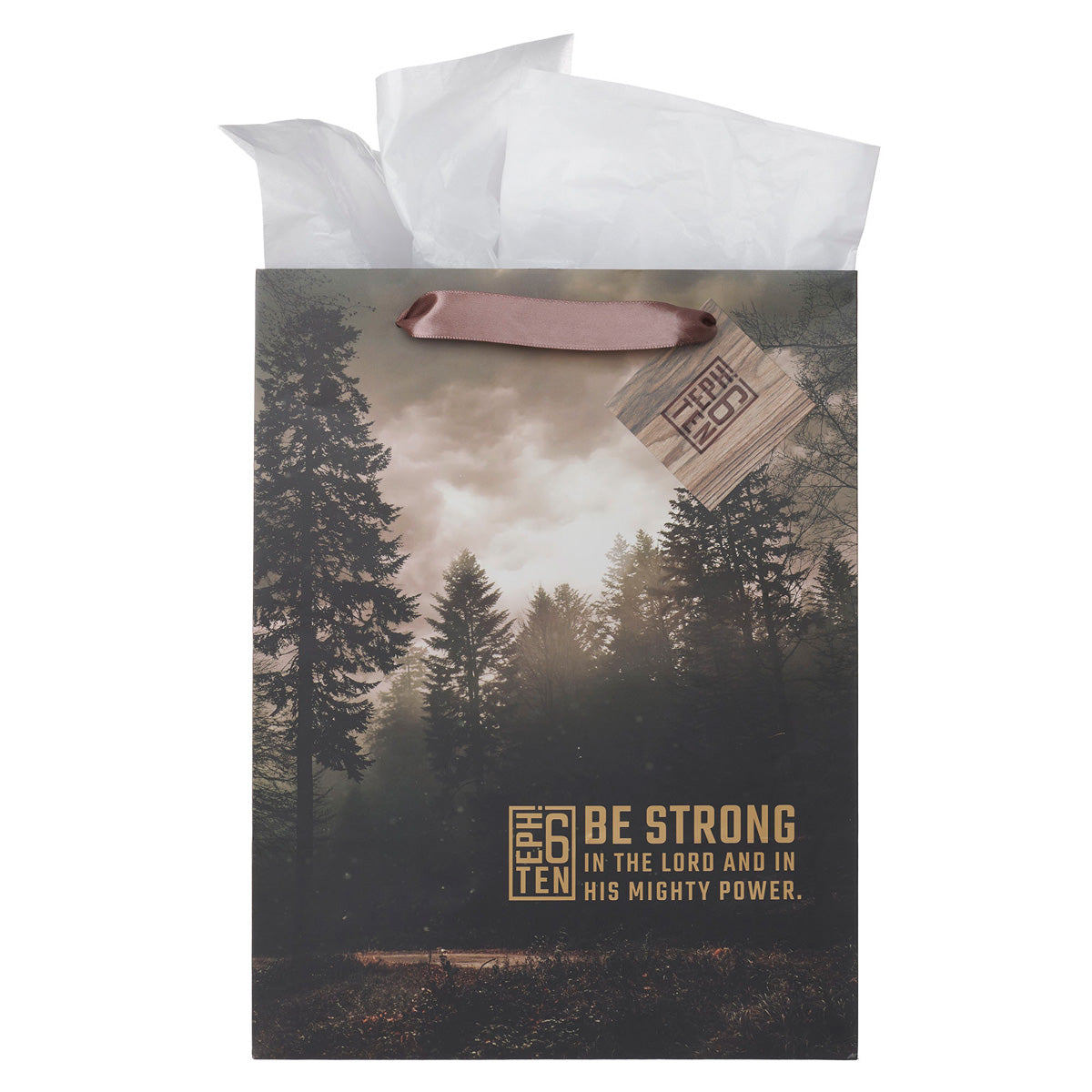 Be Strong in the Lord Portrait Gift Bag with Gift Tag