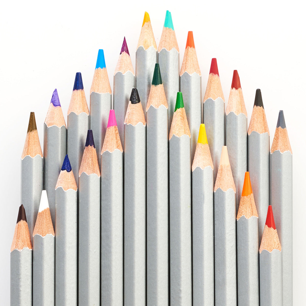 Veritas Coloring Pencils (Set Of 24)(Coloring Pencils)