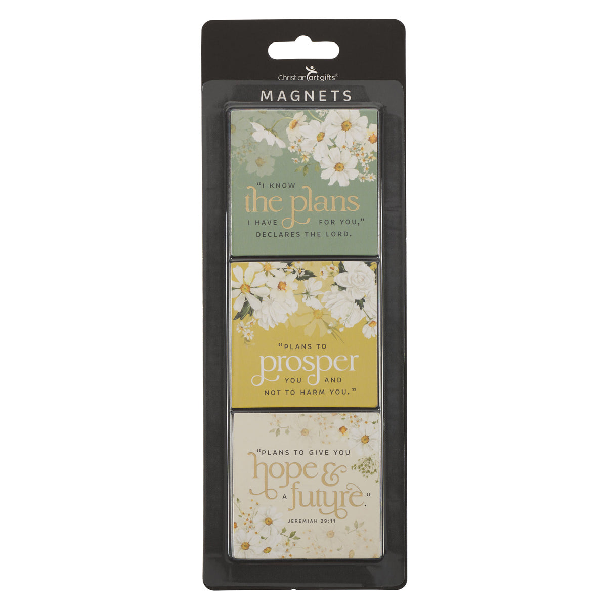 I Know the Plans Three-Piece Magnetic Set