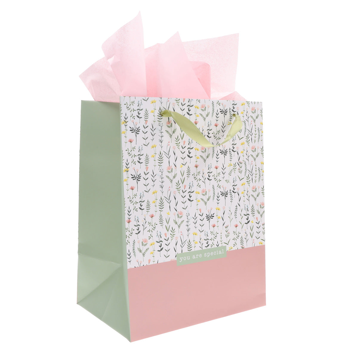 You Are Special Portrait Gift Bag with Gift Card