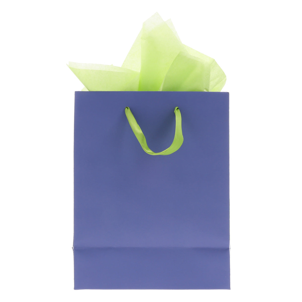 The Lord Is My Strength and My Song Medium Gift Bag with Gift Tag