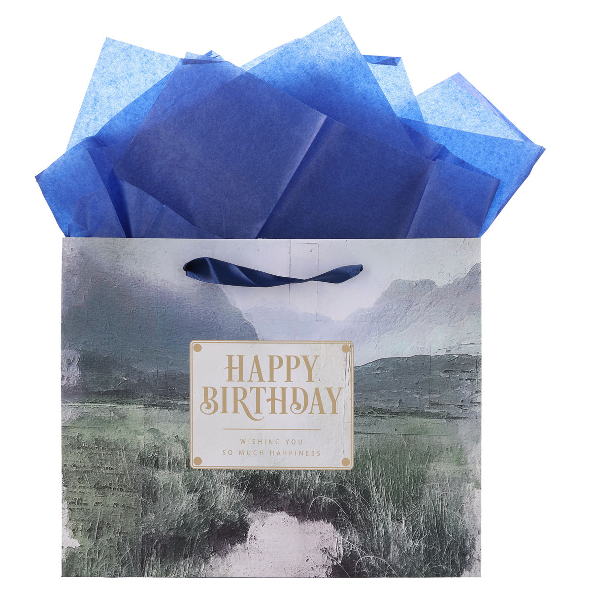 Vally Scene Happy Birthday Large Landscape Gift Bag with Card