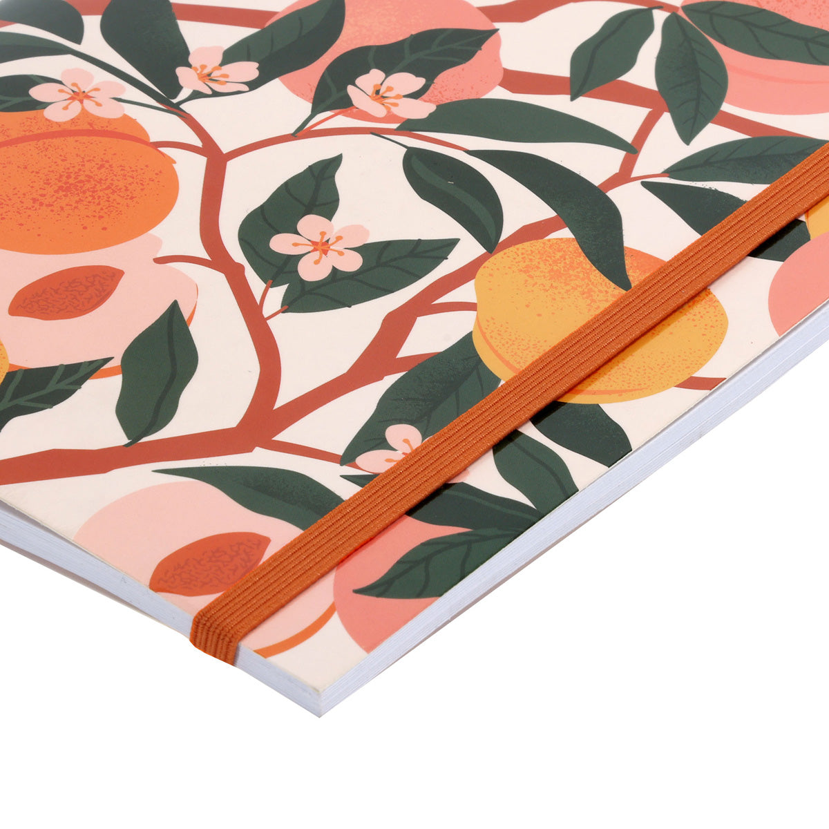 MyNotes Peaches A5 (Paperback)