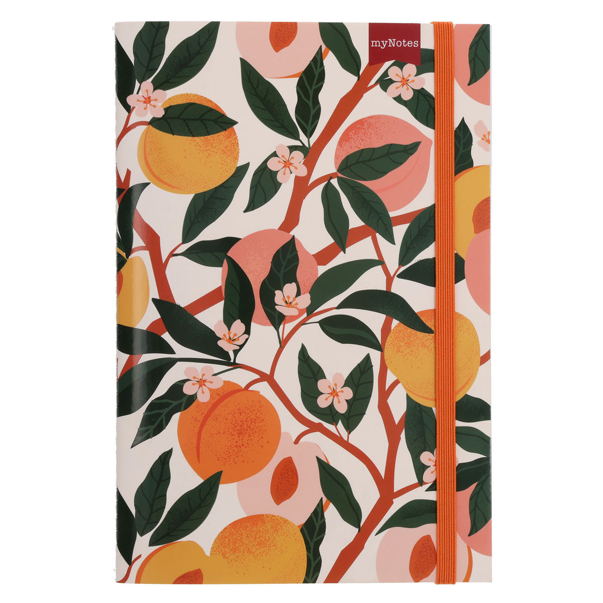 MyNotes Peaches A5 (Paperback)
