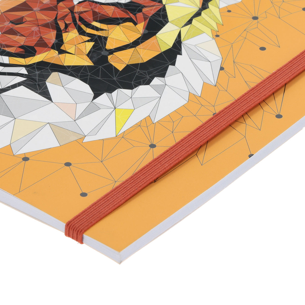 MyNotes Tiger A5 (Paperback)