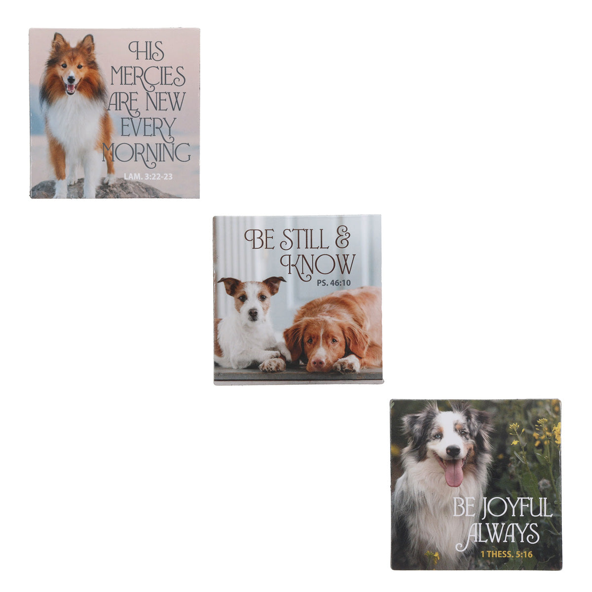 Pets Three-Piece Magnetic Set