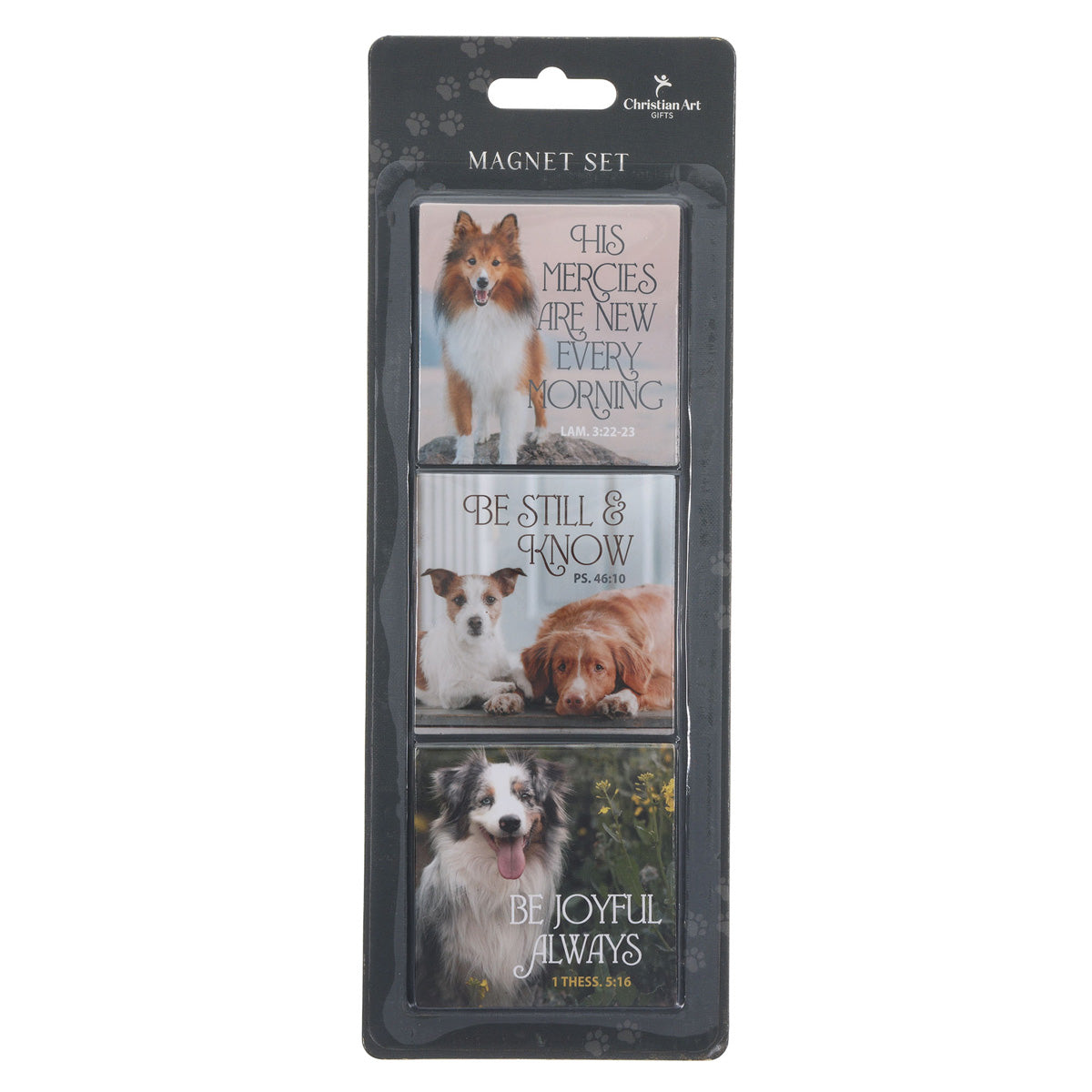 Pets Three-Piece Magnetic Set