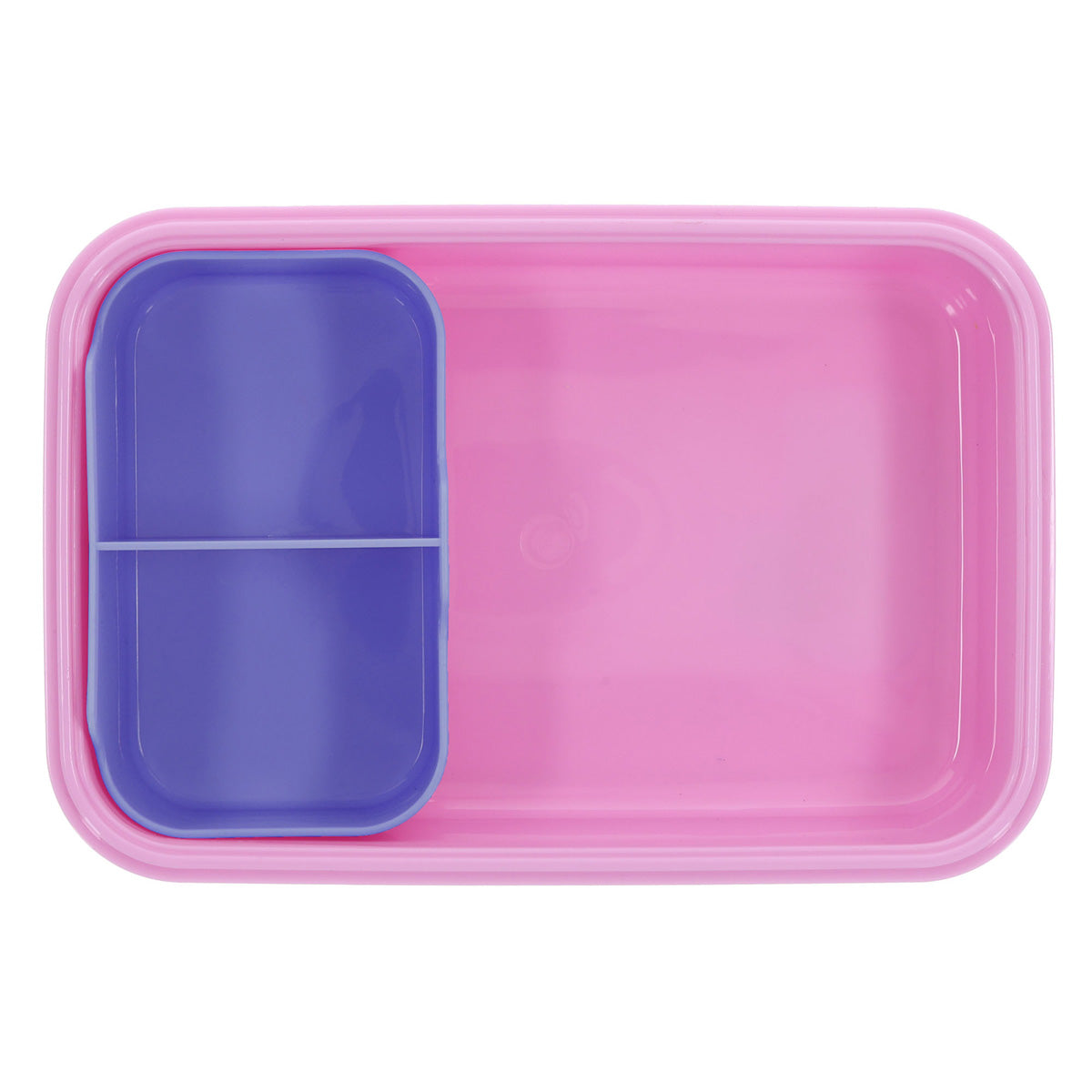 Wonderfully Made Plastic Lunch Box
