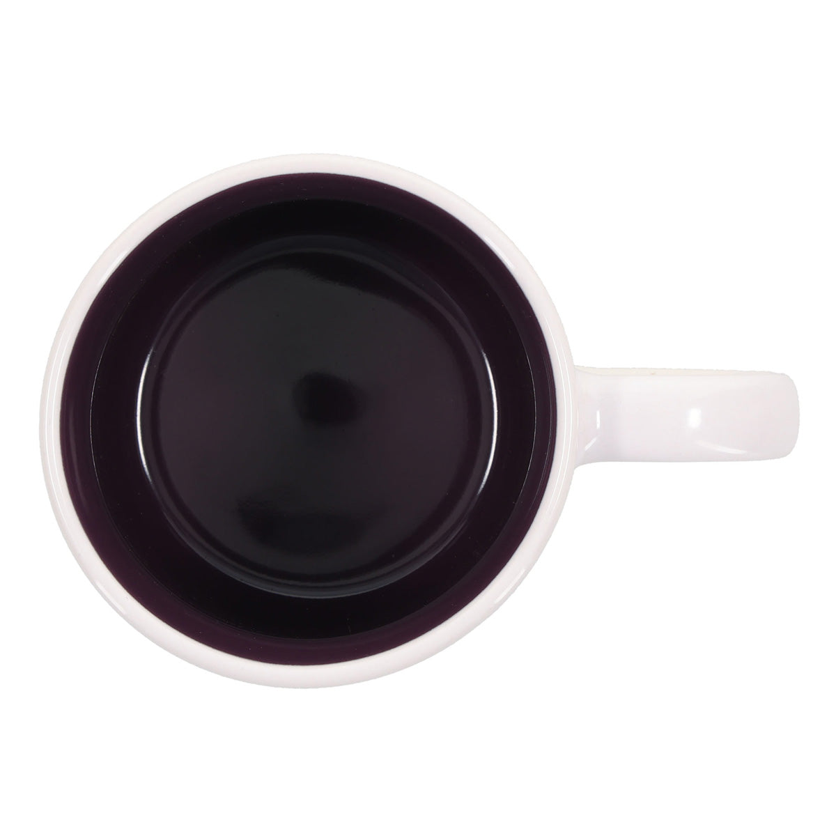Seek First Protea Ceramic Mug with Dark Purple Interior