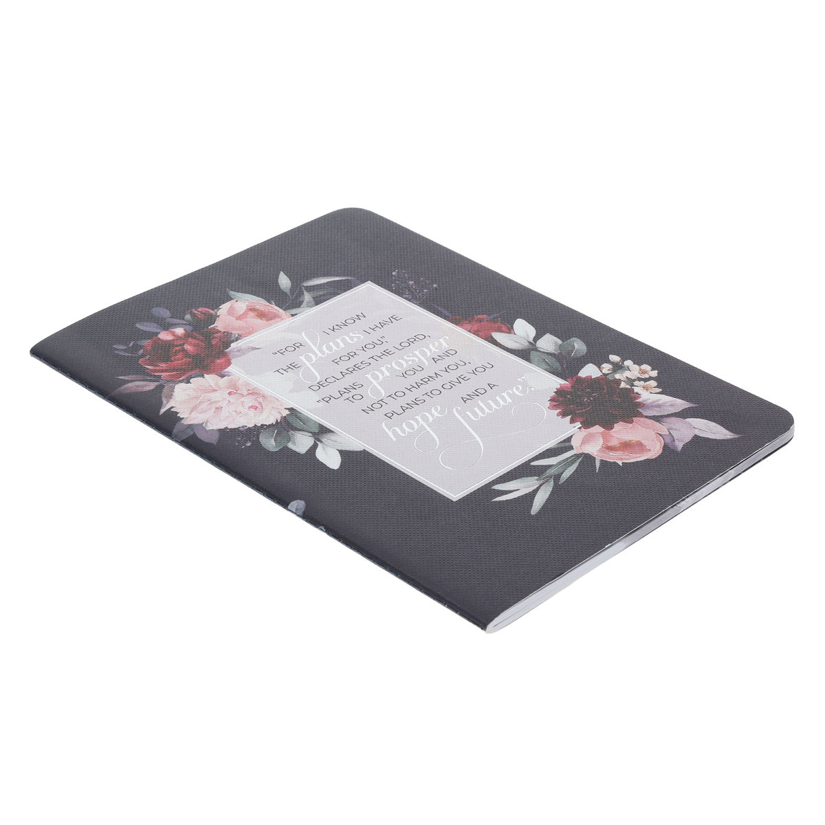 I Know the Plans Notebook