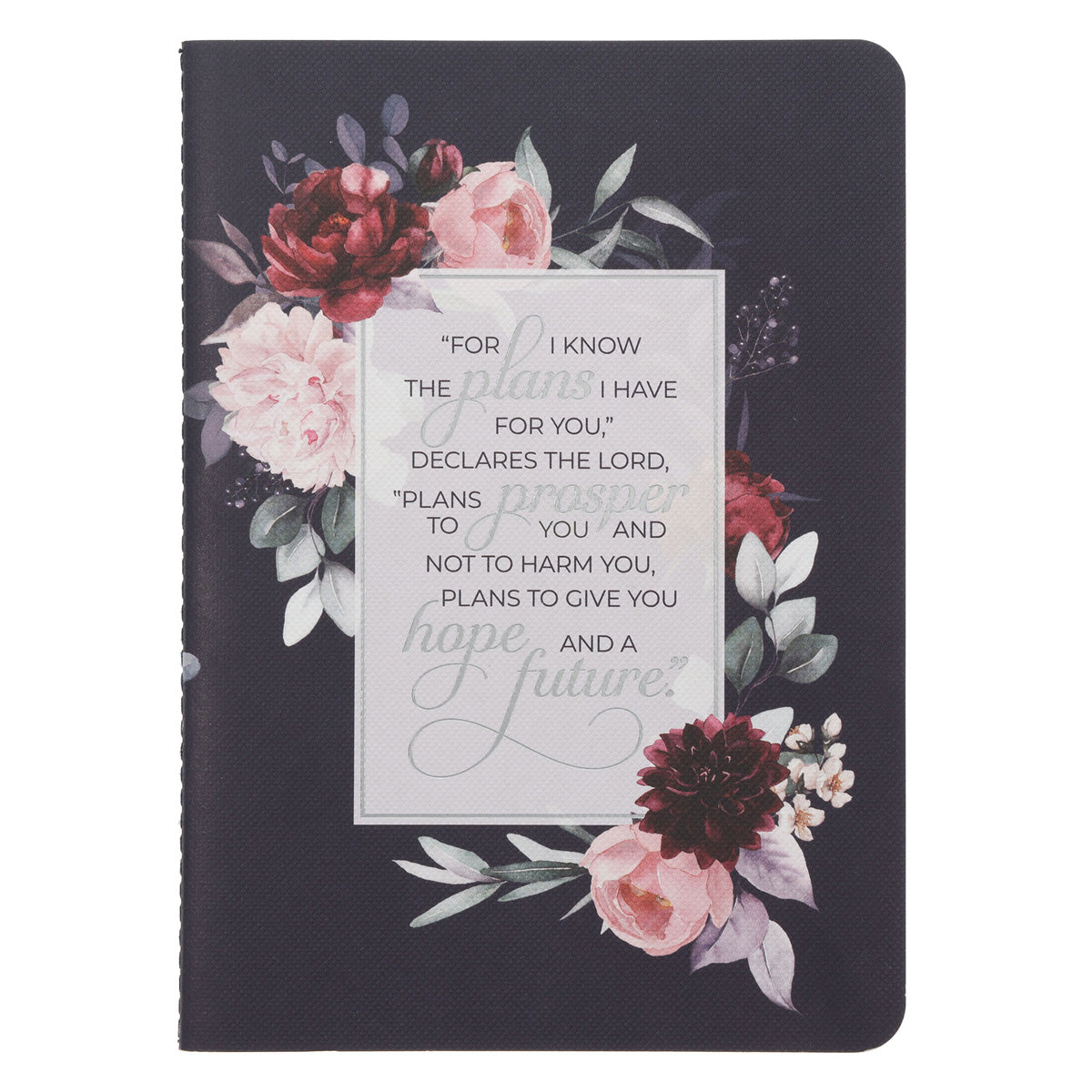 I Know the Plans Notebook