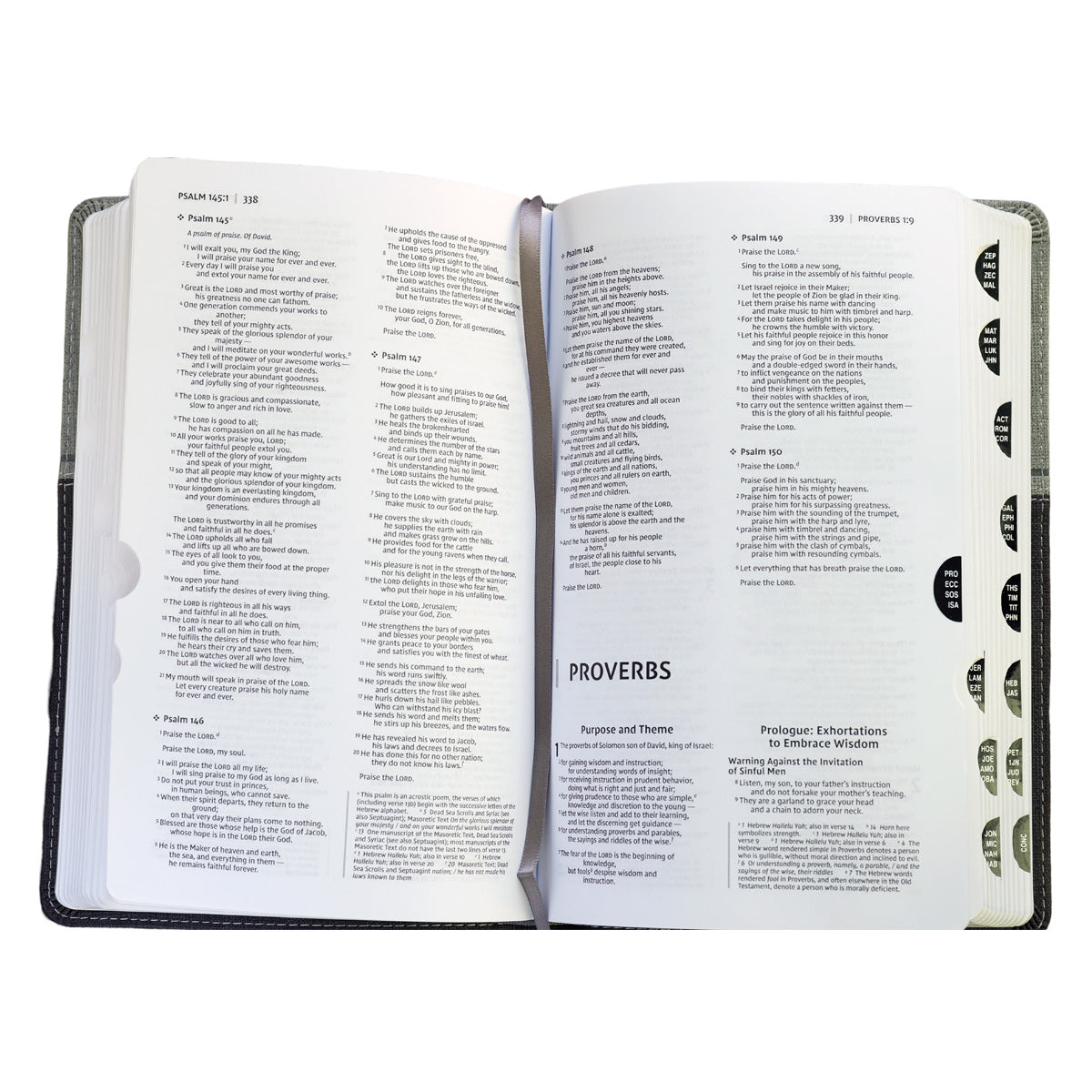 NIV Premium Gift Red Letter Indexed Black / Gray (Comfort Print)(Imitation Leather)