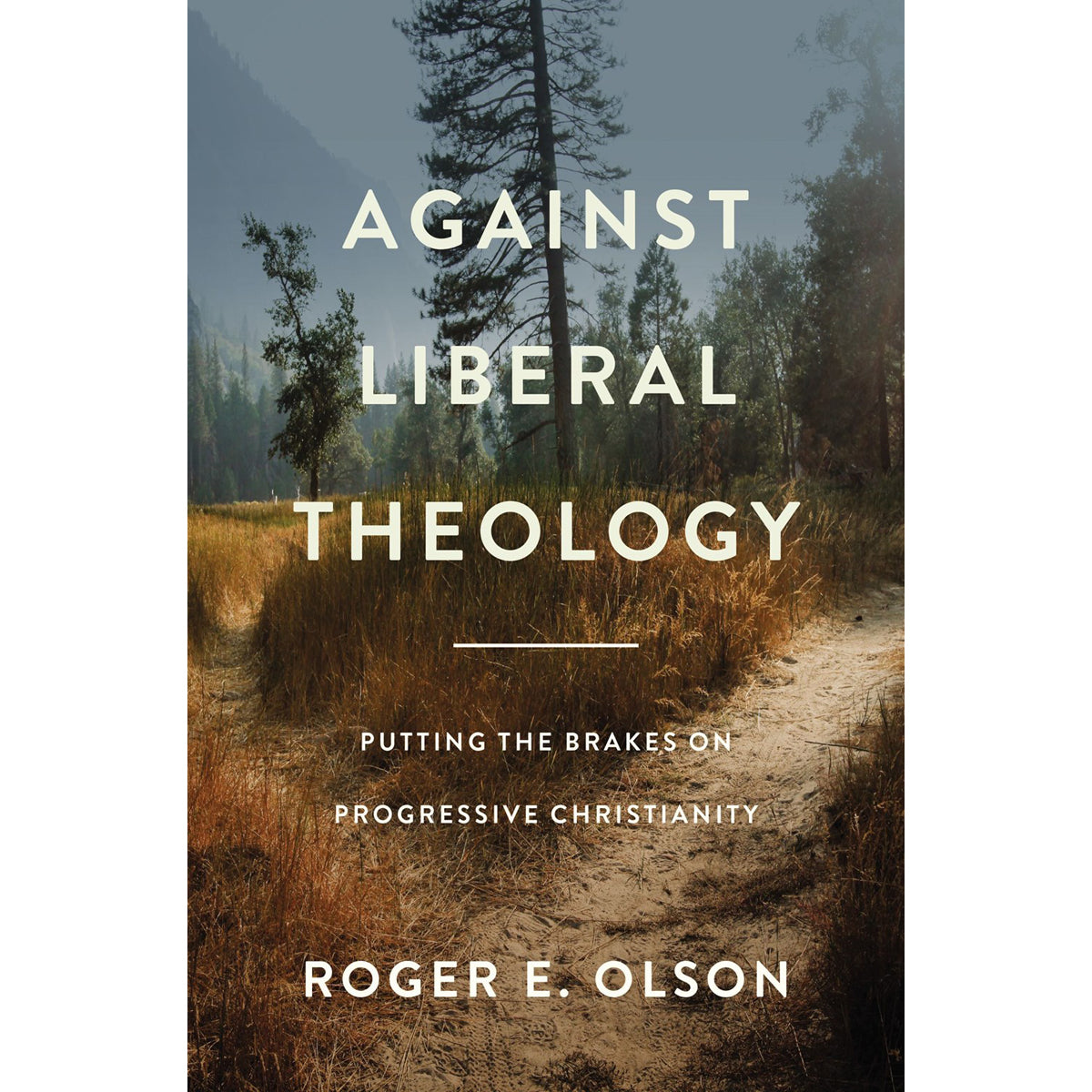 Against Liberal Theology: Putting The Brakes On / Christianity (Paperback)