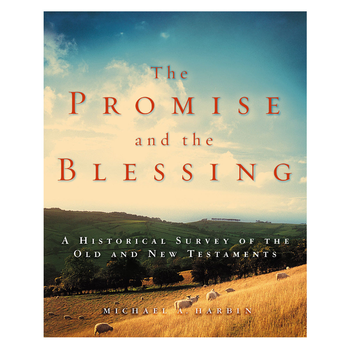 The Promise And The Blessing: A Historical Survey Of The Old And New Testaments (Paperback)