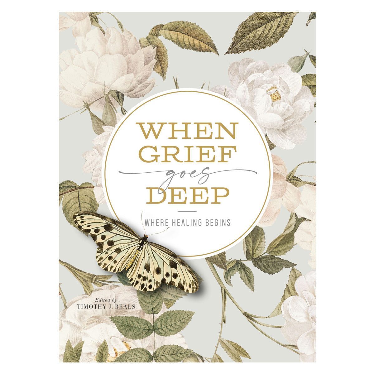 When Grief Goes Deep: Where Healing Begins (Paperback)