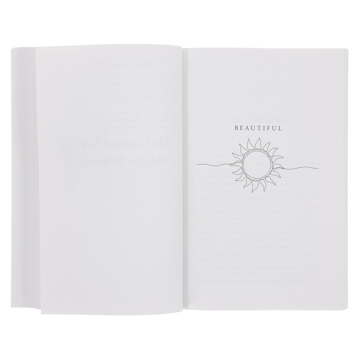 Beautiful Disappointing Hopeful: How Gratitude, Grief & Grace Reflect the Christian Story PB