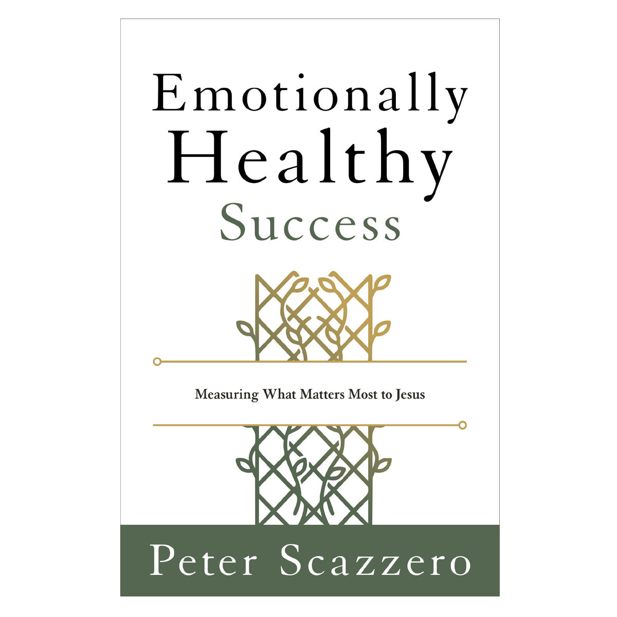 Emotionally Healthy Success: Measuring What Matters Most to Jesus (Paperback)