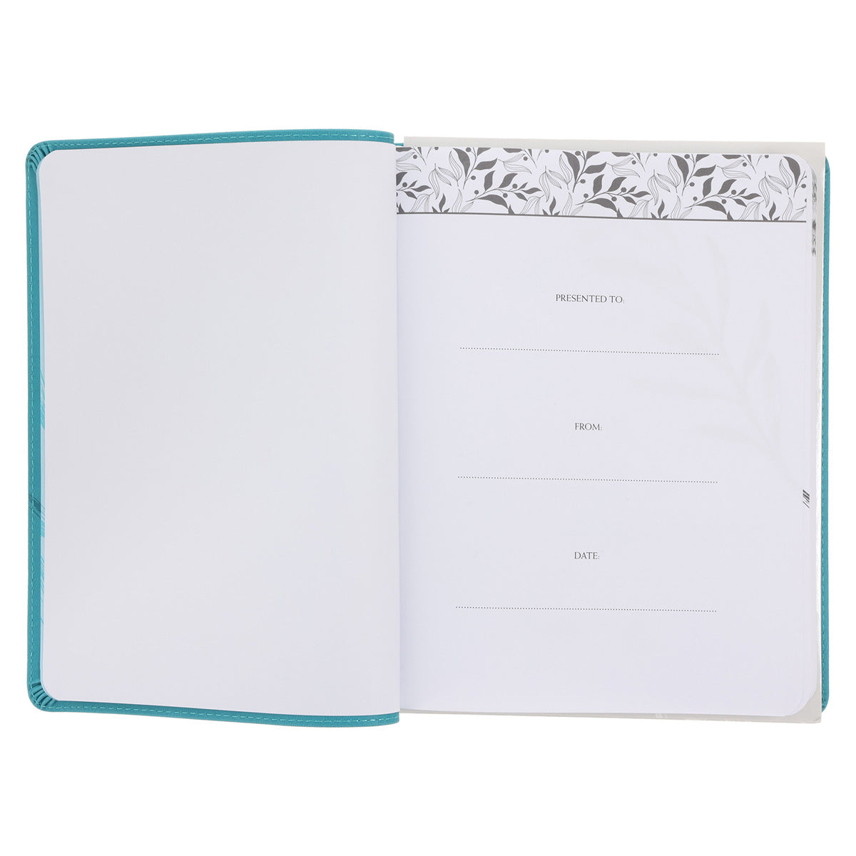 God's Mercy Grace and Compassion - MyDaily Devotional (Imitation Leather)