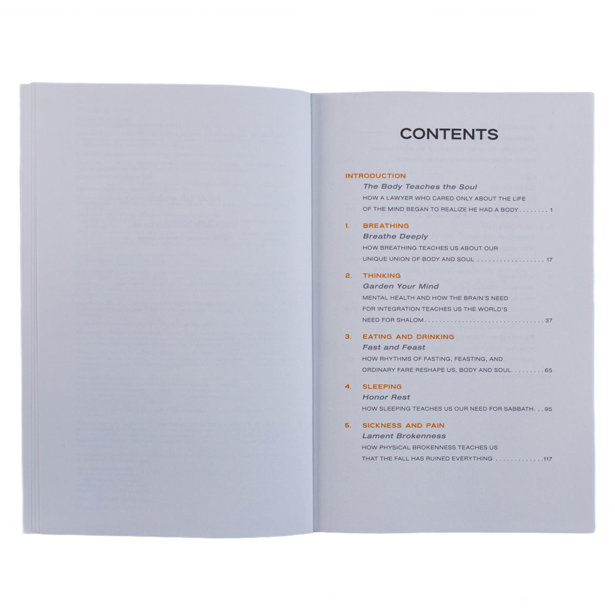 The Body Teaches the Soul: Ten Essential Habits to Form a Healthy and Holy Life PB