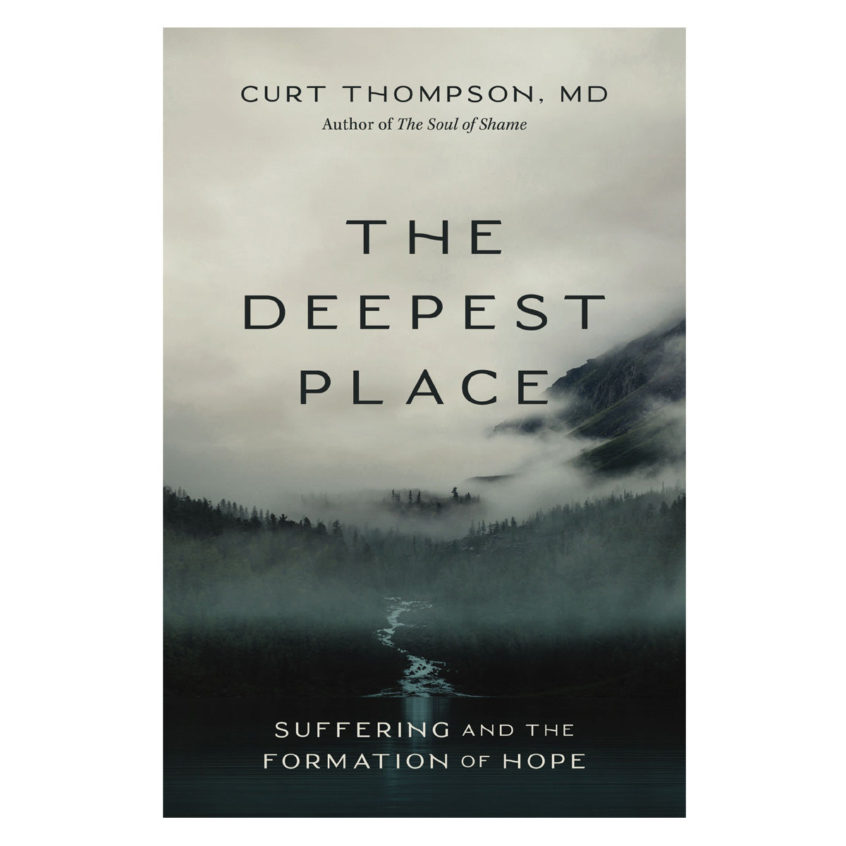 The Deepest Place: Suffering and the Formation of Hope (Paperback)