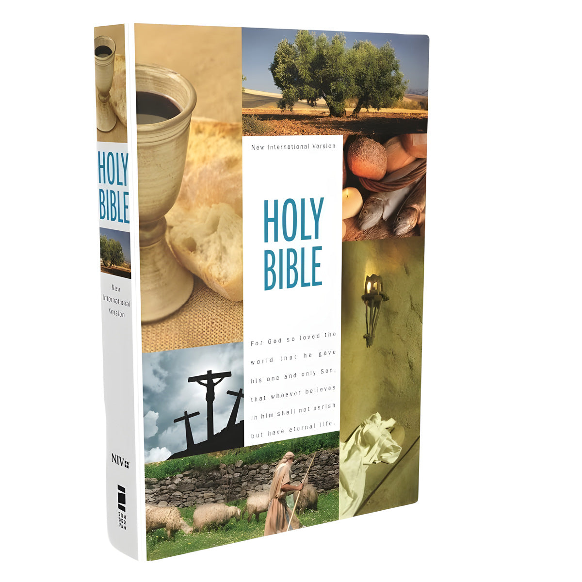 NIV Hardcover Holy Bible Textbook Edition
