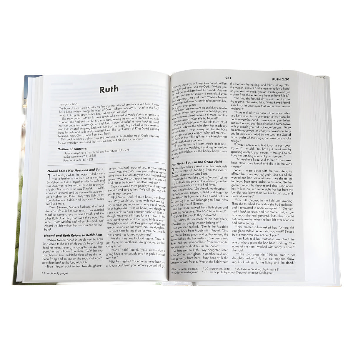 NIV Hardcover Holy Bible Textbook Edition