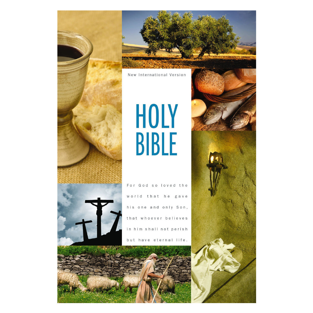 NIV Hardcover Holy Bible Textbook Edition