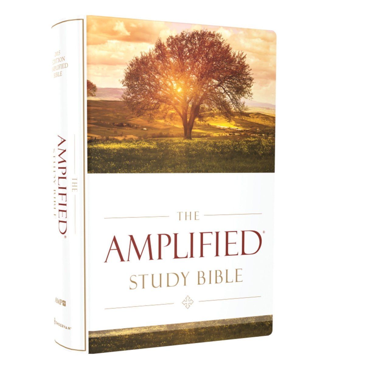 Amplified Study Bible Large Print (Hardcover)
