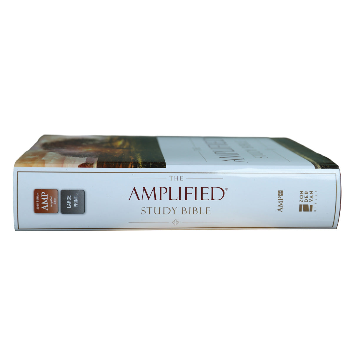 Amplified Study Bible Large Print (Hardcover)