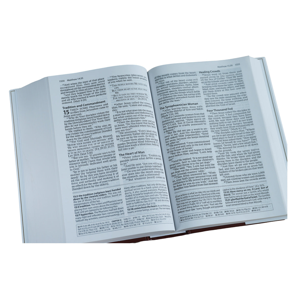 Amplified Study Bible Large Print (Hardcover)