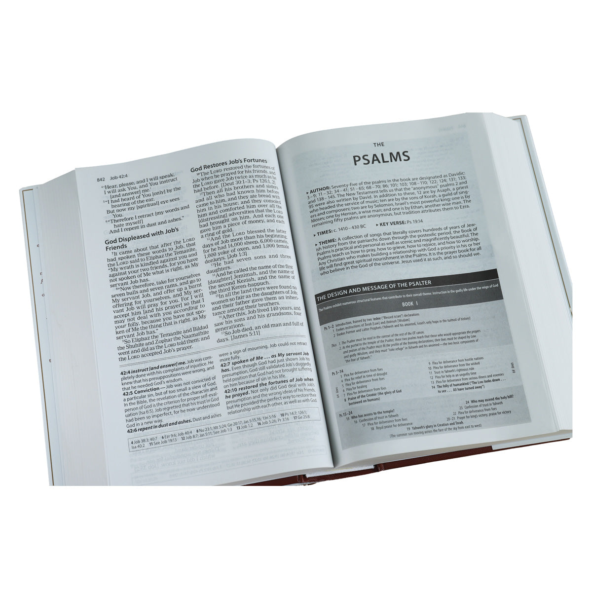 Amplified Study Bible Large Print (Hardcover)