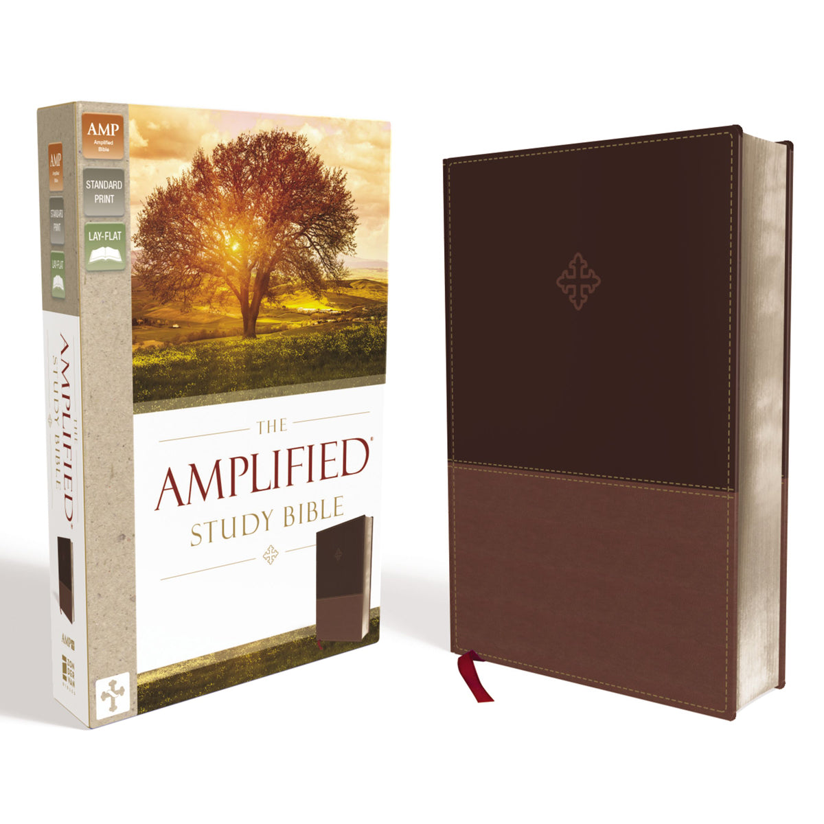 Amplified Study Bible Brown (Imitation Leather)