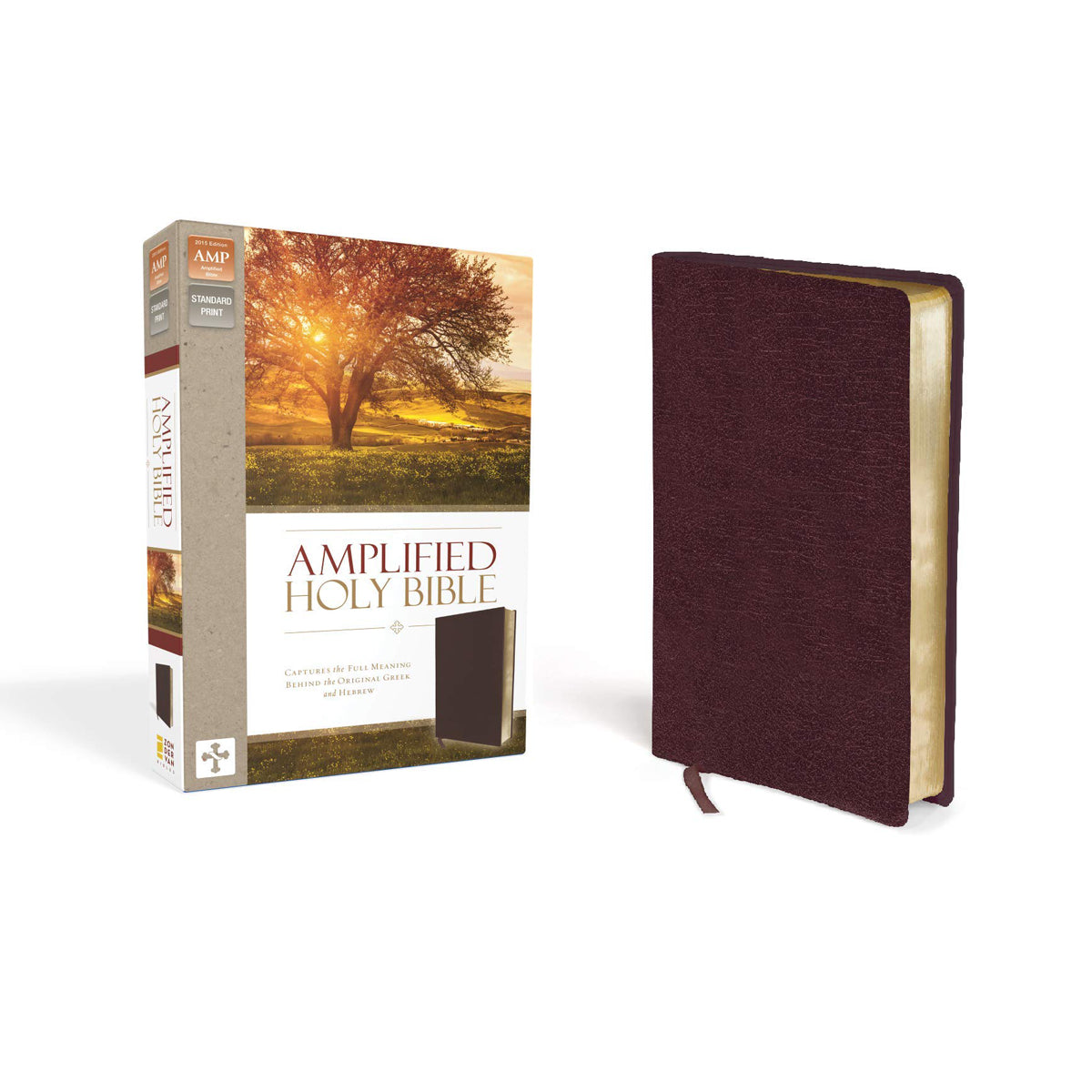 Amplified Holy Bible Large Print Burgundy (Bonded Leather)