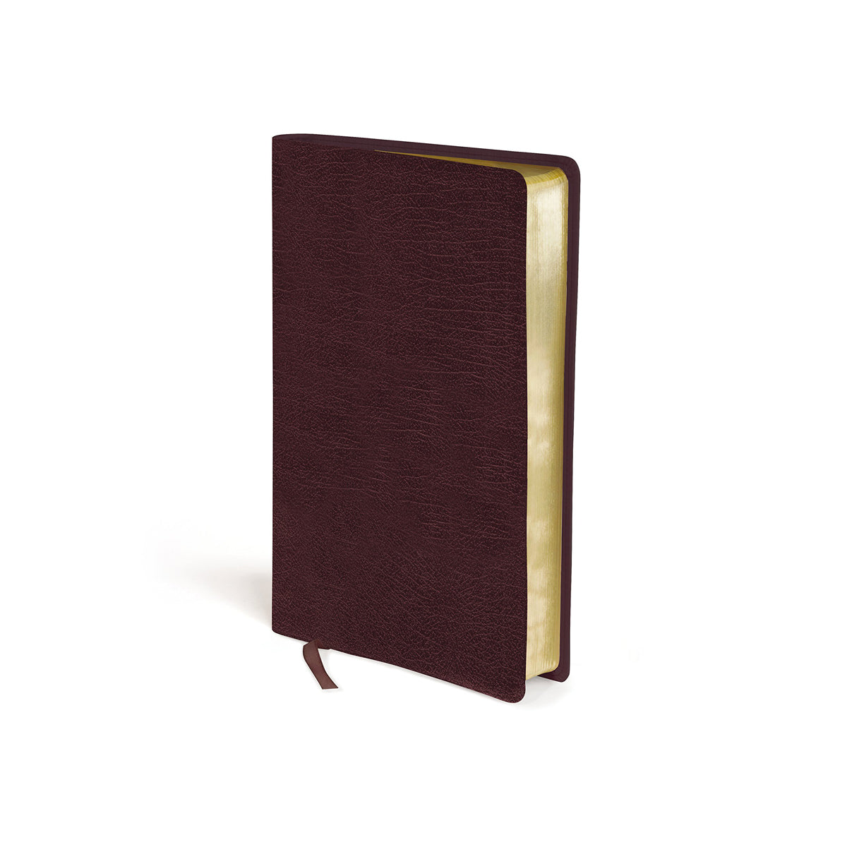 Amplified Holy Bible Large Print Burgundy (Bonded Leather)