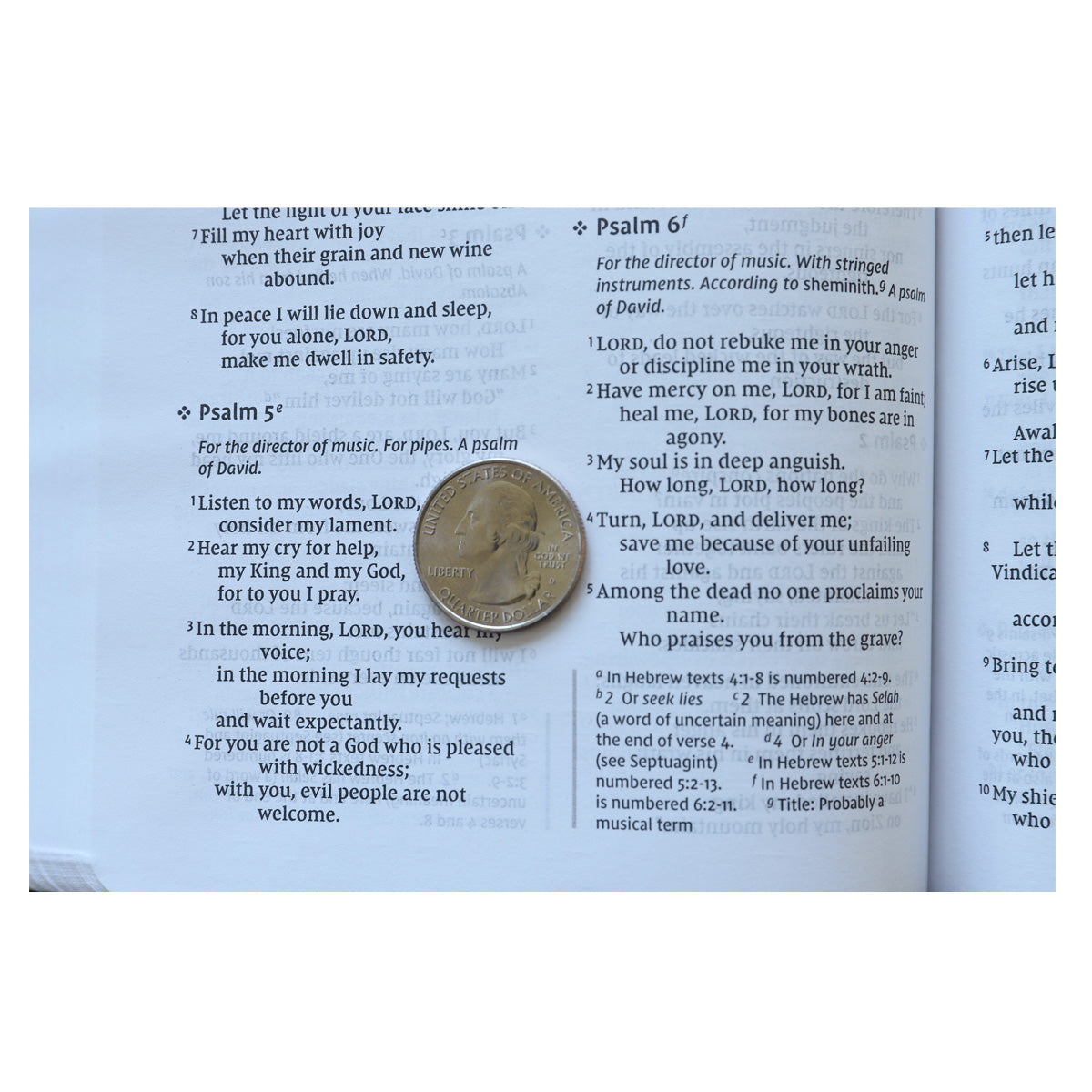 NIV Value Thinline Bib Gray / Black (Comfort Print)(Imitation Leather)