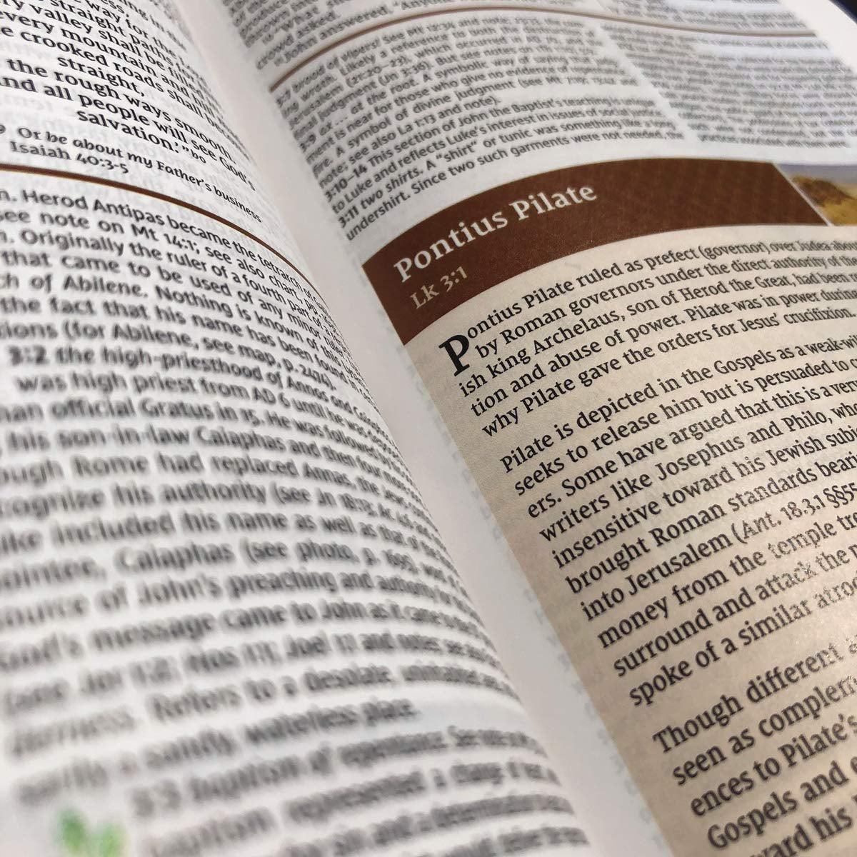 NIV Study Bible Revised Edition Red Letter (Comfort Print)(Hardcover)