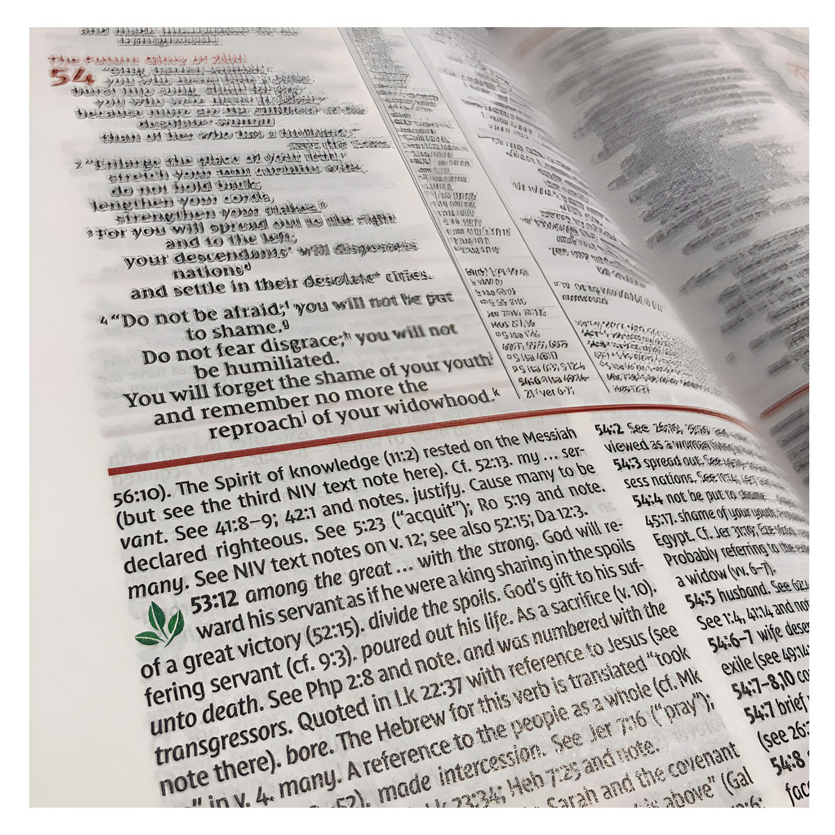 NIV Study Bible, Fully Revised Edition, Large Print, Red Letter (Comfort Print)(Hardcover)