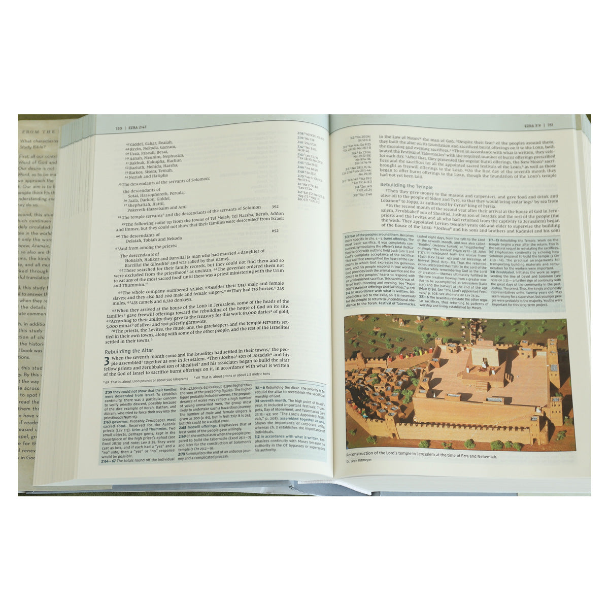 NIV Biblical Theology Study Bible (Comfort Print)(Hardcover)